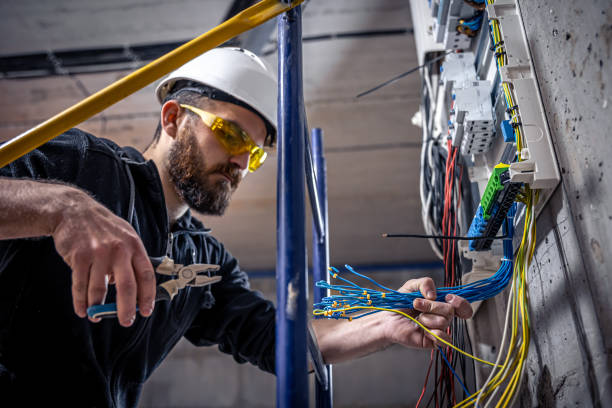 Best Home Electrical Repair  in Hastings, MI