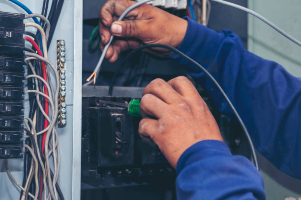 Best Electrical System Inspection  in Hastings, MI